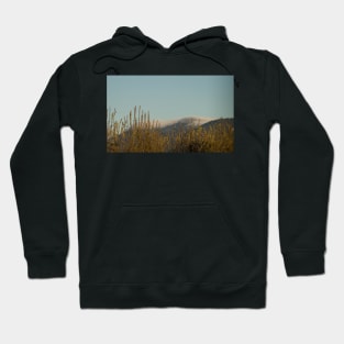 91416 high winds Hoodie